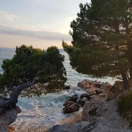 Ruzica מאקרסקה